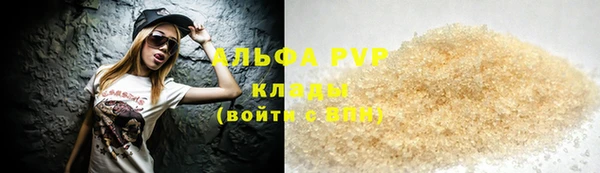 круглые Гусев