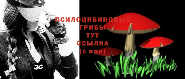 дмт Гусиноозёрск