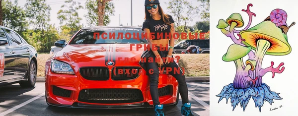 дурь Гусь-Хрустальный
