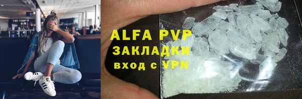 круглые Гусев