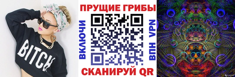Псилоцибиновые грибы MAGIC MUSHROOMS  купить  цена  Нальчик 