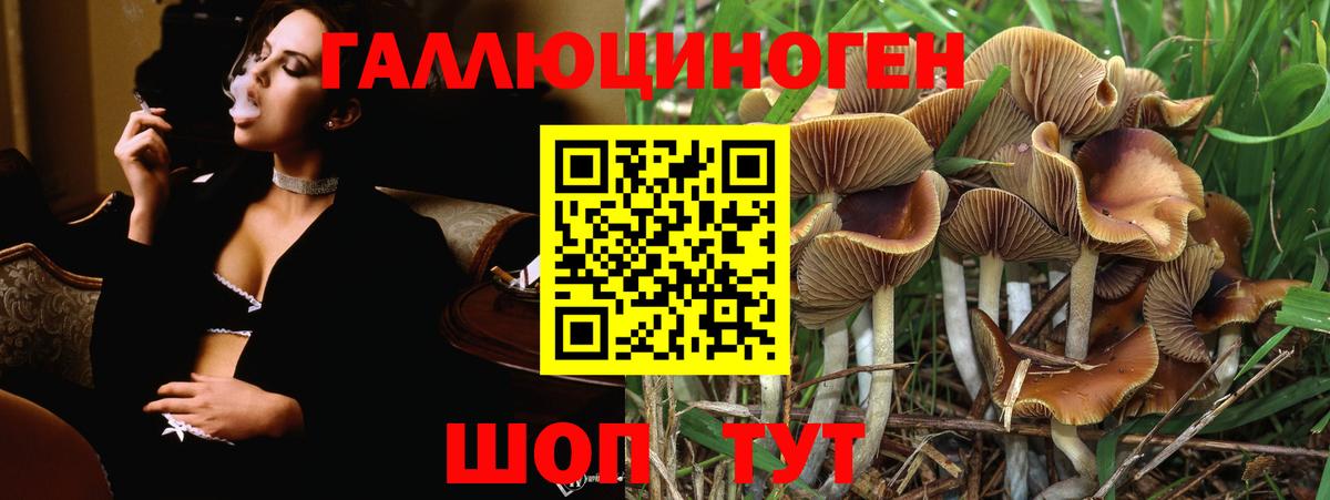 Нальчик  Псилоцибиновые грибы Magic Shrooms  Псилоцибиновые грибы мицелий  Вход с VPN 